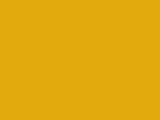 Mustard Color Chip